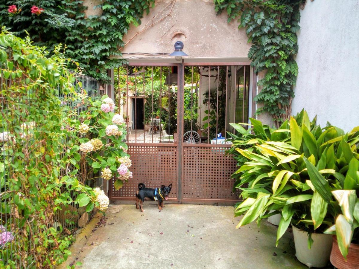 Marakasa B&B Сан-Антонио-де-Калонже Экстерьер фото